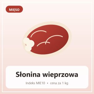 Słonina